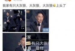 港星综艺爆料最新一期视频,明星幕后故事大曝光